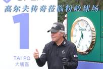 尽管森林狼